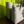 Load image into Gallery viewer, *SHEEP Tote - SMALL