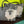 Load image into Gallery viewer, *SHEEP Tote - SMALL
