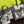 Load image into Gallery viewer, *CAT LADY Pocket Tote - LARGE