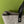 Load image into Gallery viewer, Martha Bag: Handmade Felt Bag