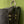 Load image into Gallery viewer, Ruffle : Handmade Felt Purse