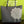 Load image into Gallery viewer, *SHEEP Tote - Last of this style!!! LIMITED EDITION
