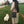 Load image into Gallery viewer, Kiki Bag : Crossbody Handmade Felt Purse
